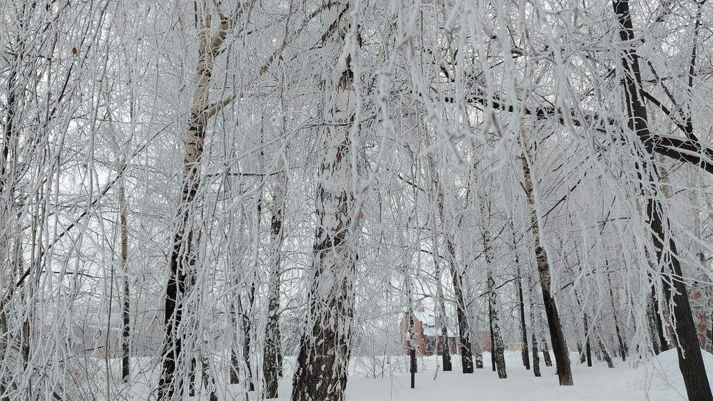 Фото: Татьяна Первова