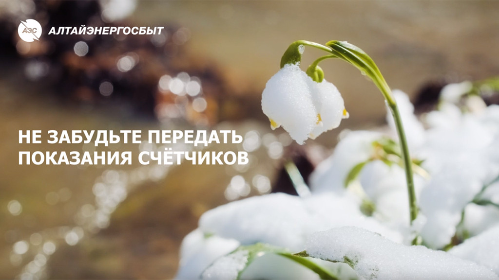 Фото: АО «Алтайэнергосбыт»