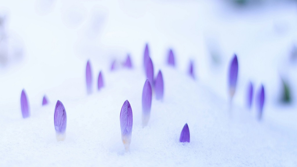 Фото: ru.freepik.com
