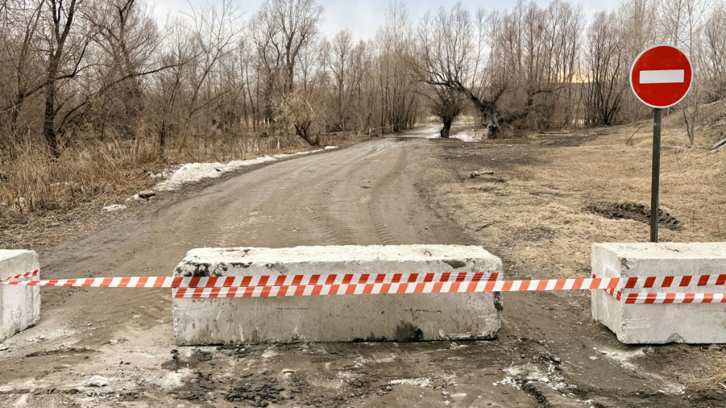 Фото: мэрия Барнаула