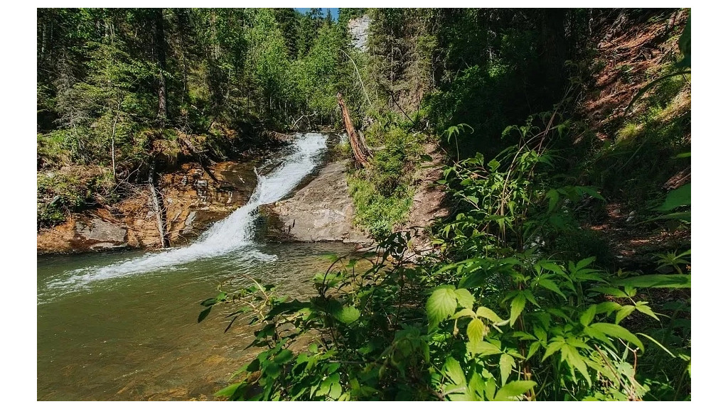 В Алтайском крае откроются два новых экотуристических маршрута Фото №1