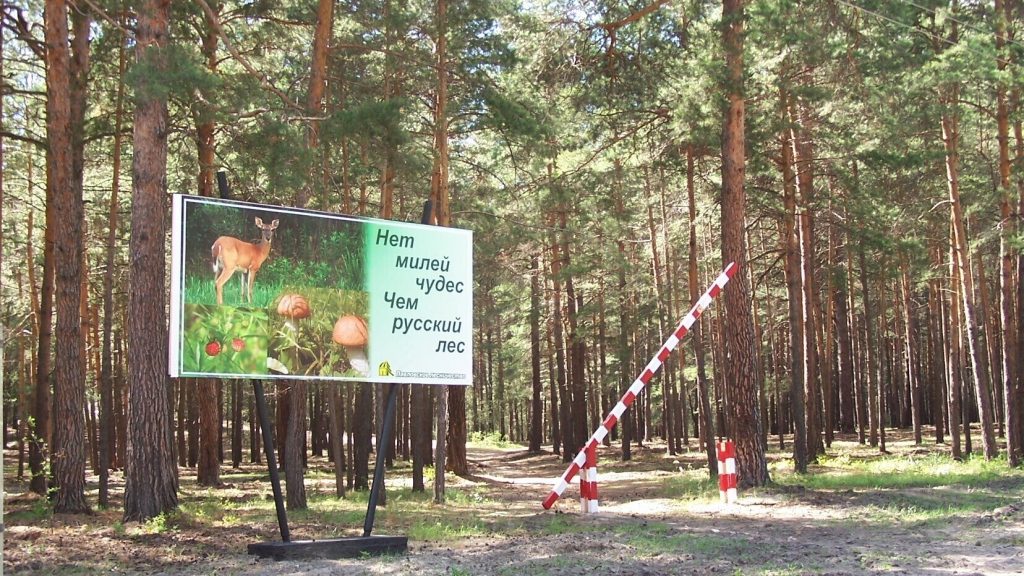 Фото: Минприроды АК