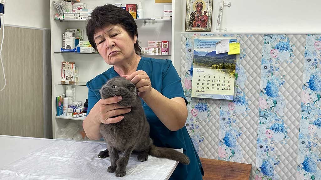 Фото: Людмила Маковецкая