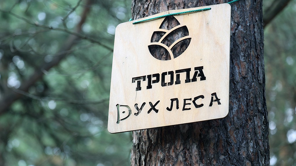 В Барнауле проложили пешеходную тропу "Дух леса" Фото №2