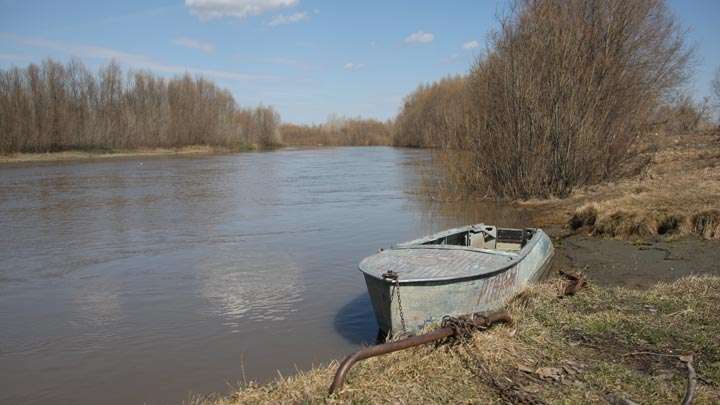 Паводковые воды отступили от 36-ти участков в Алтайском крае