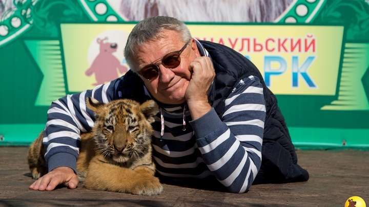 Барнаульский зоопарк показал, как веселятся тигрята Фото №1