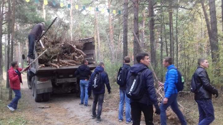26 самосвалов с ветками вывезли из ленточного бора в Барнауле Фото №1