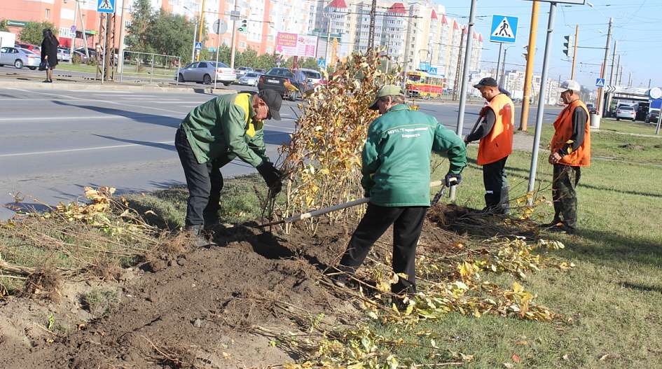 Живую изгородь сделают на ул. Малахова в Барнауле Фото №2