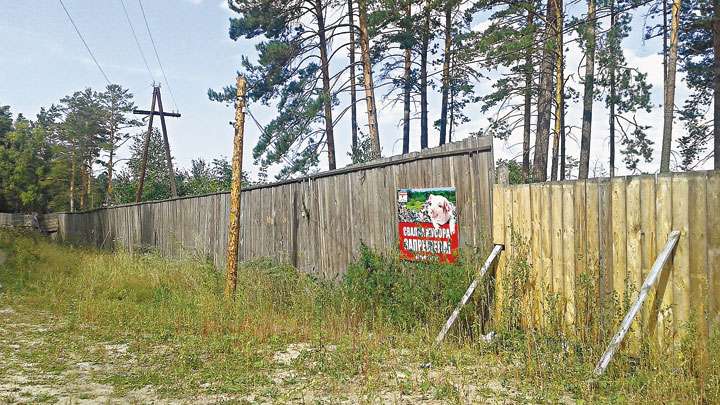 Как Первомайский район борется с несанкционированными свалками Фото №1