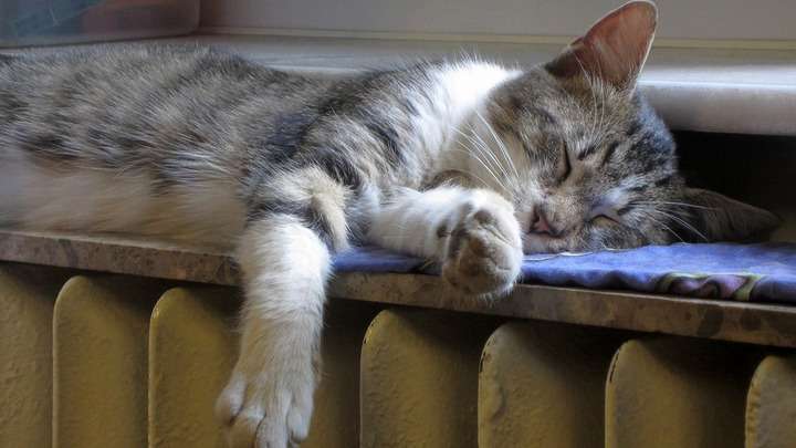 Больше трех миллионов рублей потратят на ремонт котельных в алтайском селе Фото №1