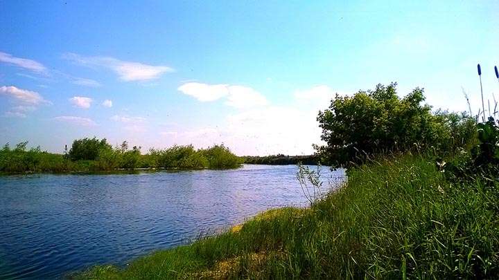 В реке Кулунда Алтайского края утонул рыбак Фото №1