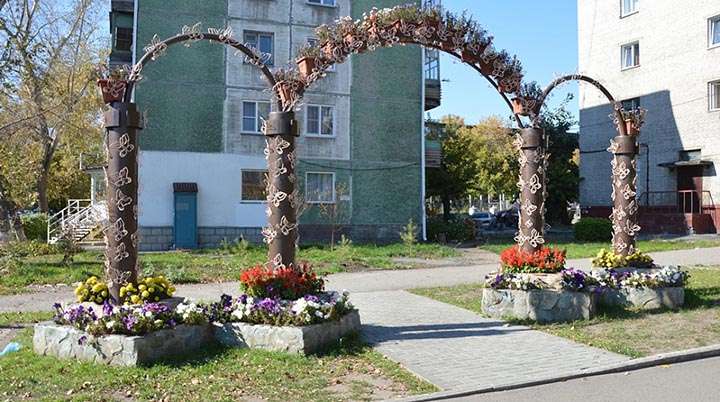 Молодые деревья высадили в зеленых уголках Барнаула. Одно уже сломали Фото №2