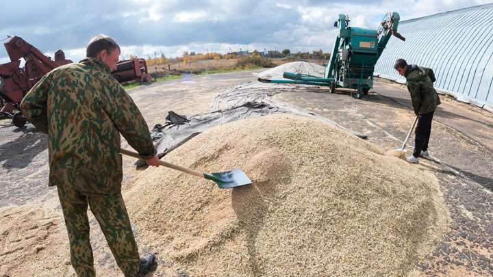 Лицей в Алтайском крае делом доказывает, что сейчас время технарей-практиков Фото №1