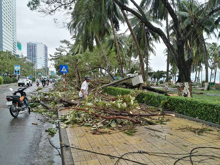 Вьетнам тайфун