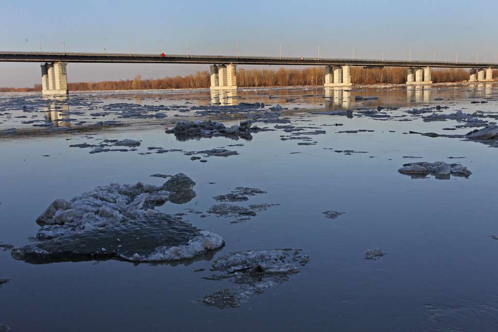 Уровень воды в реках алтайского края сегодня. Уровень воды в реке Чарыш на сегодня.