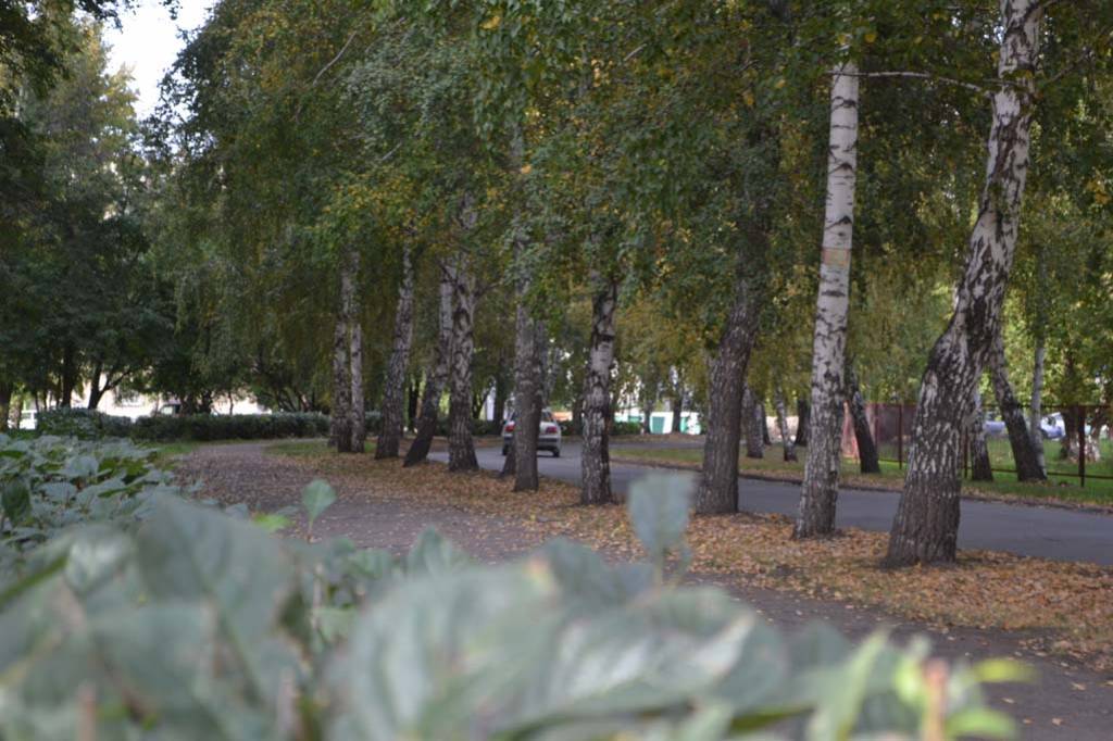 Осенний Барнаул Фото