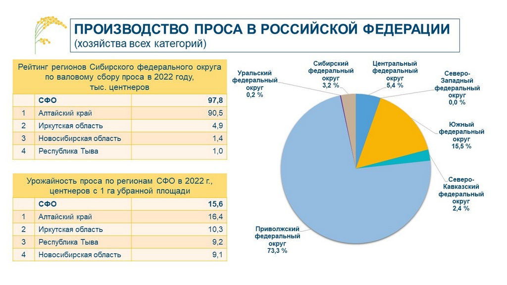 Алтайский край является лидером по производству проса в Сибири Фото №2