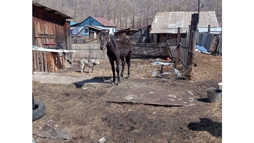 Фото: «Барнаул 22» фото
