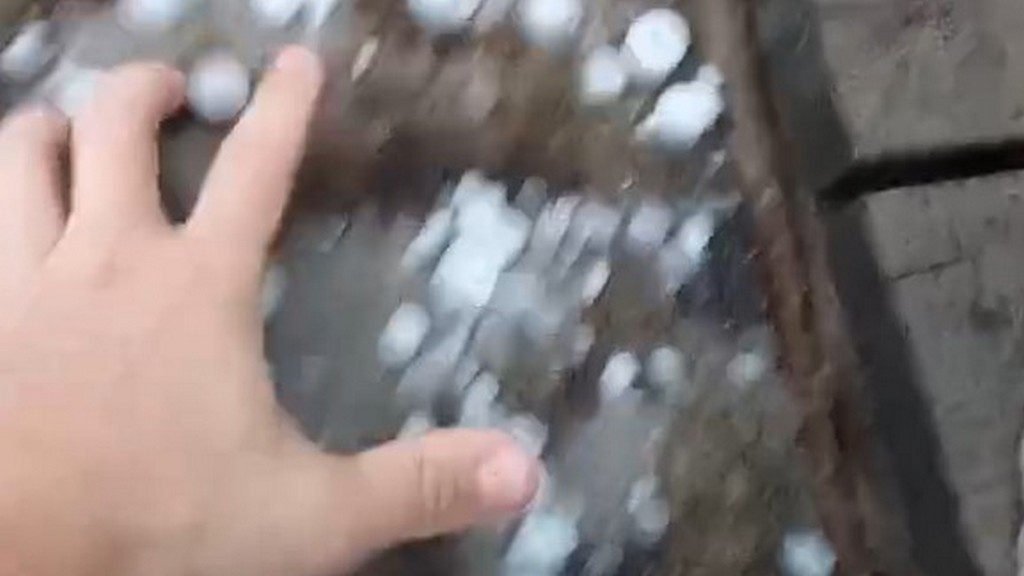 Кадр из видео: "Инцидент Барнаул" фото