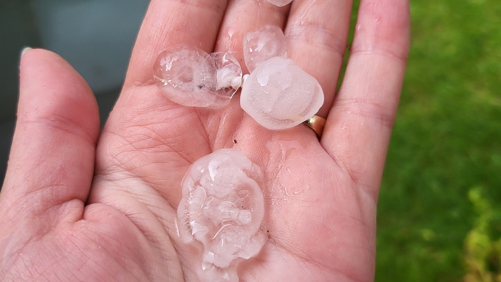 Фото: Инцидент Барнаул фото