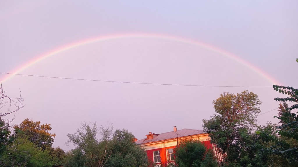 Фото: Инцидент Барнаул фото