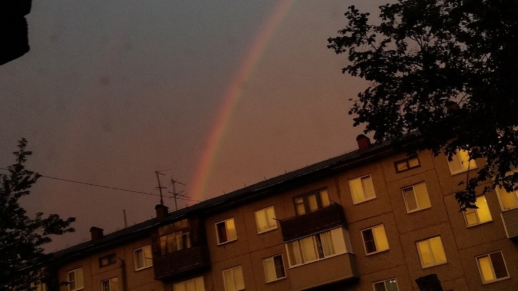 Фото: Инцидент Барнаул фото