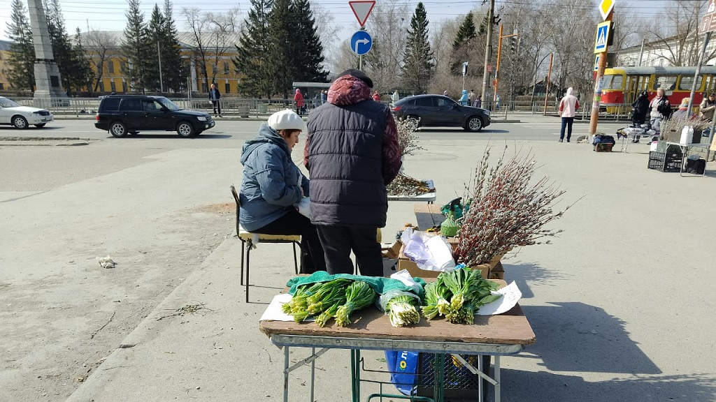 Букет с «зелёными» витаминами. В Алтайском крае появилась первая весенняя зелень и распустились первоцветы Фото №2