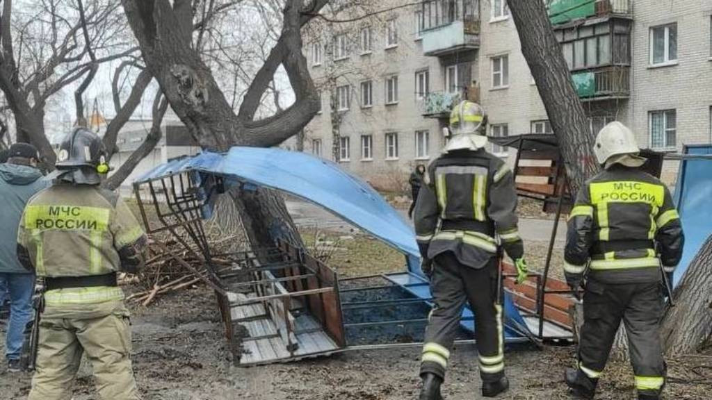 Фото: телеграм-канал Виктора Томенко фото