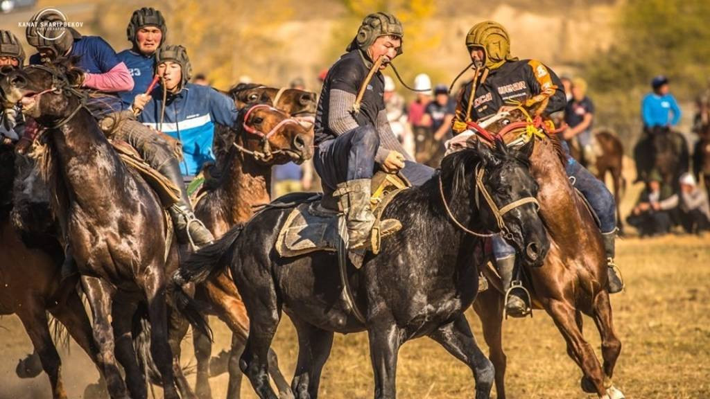 Алтайский калейдоскоп спорта: от «кулака высшего предела» до риттбергера на роликах Фото №3