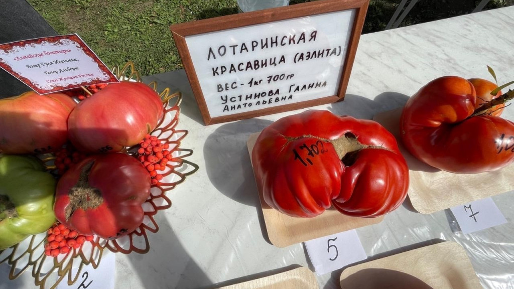 Фото: Людмила Маковецкая фото
