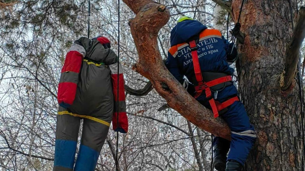 Фото: Управление Алтайского края по делам ГОЧС и ПБ фото