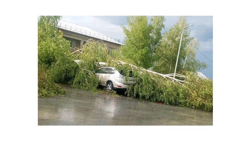 Фото: «В курсе 22» фото