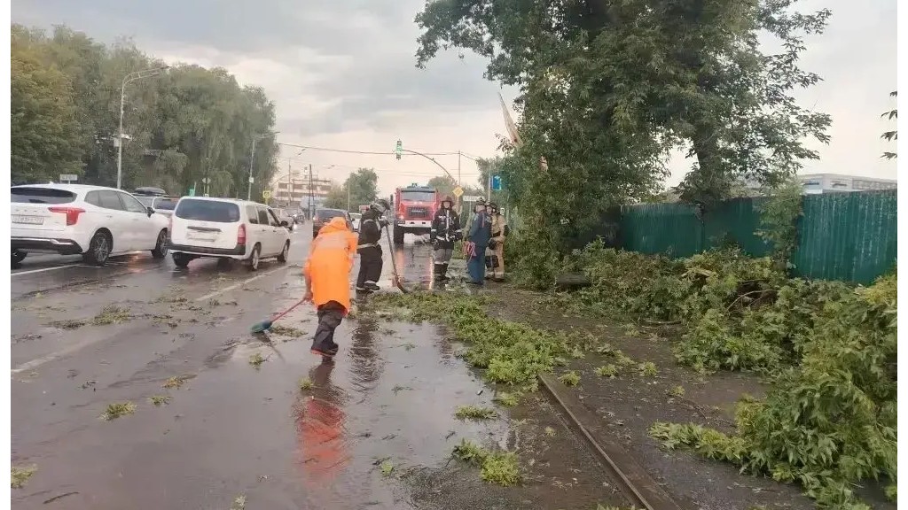 В Барнауле зафиксировали почти 100 происшествий в результате непогоды Фото №3