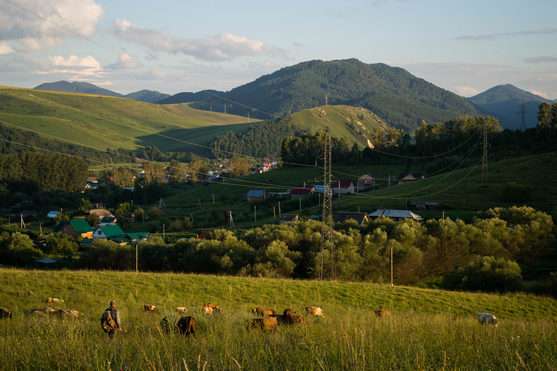 Деревня живет. 15 фото с сельской романтикой Алтайского края